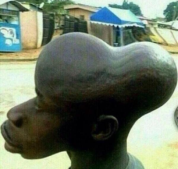 Head Ass 64