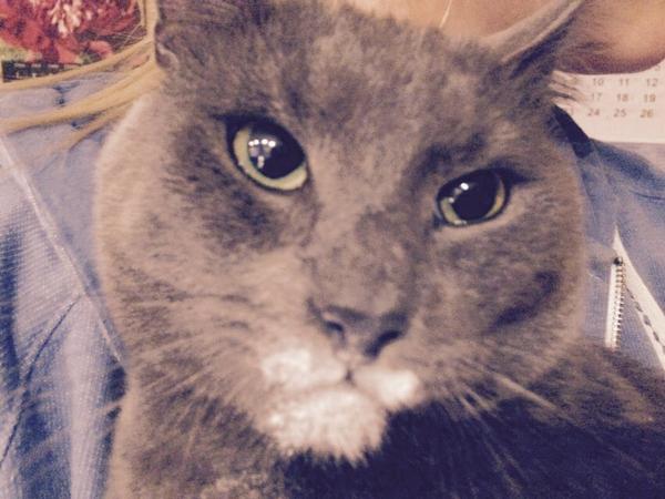 Valdiacho's tweet image. Cocaine bitches!!!!