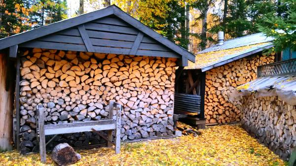 Kenogami Hashtag On Twitter