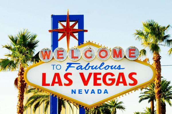 VenusPoolClub tweet picture