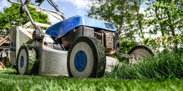 Recent onderzoek toonde aan dat het gras met die geur laat weten dat het in nood verkeert.