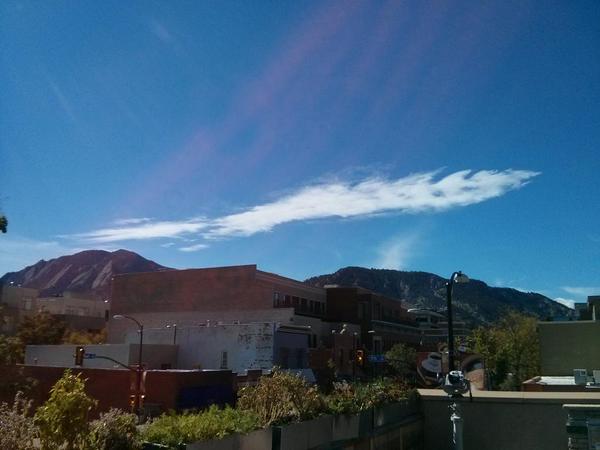 Alexander Jackson tweet media