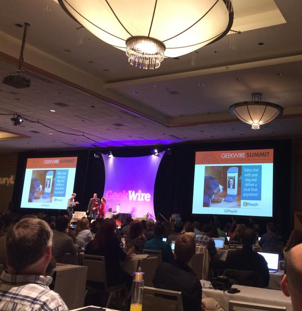 jjaech's tweet photo. So inspiring seeing young entrepreneurs doing great things! Brooke Martin voted crowd favorite @iCPooch at #gwsummit http://t.co/o5SSRgSt6d