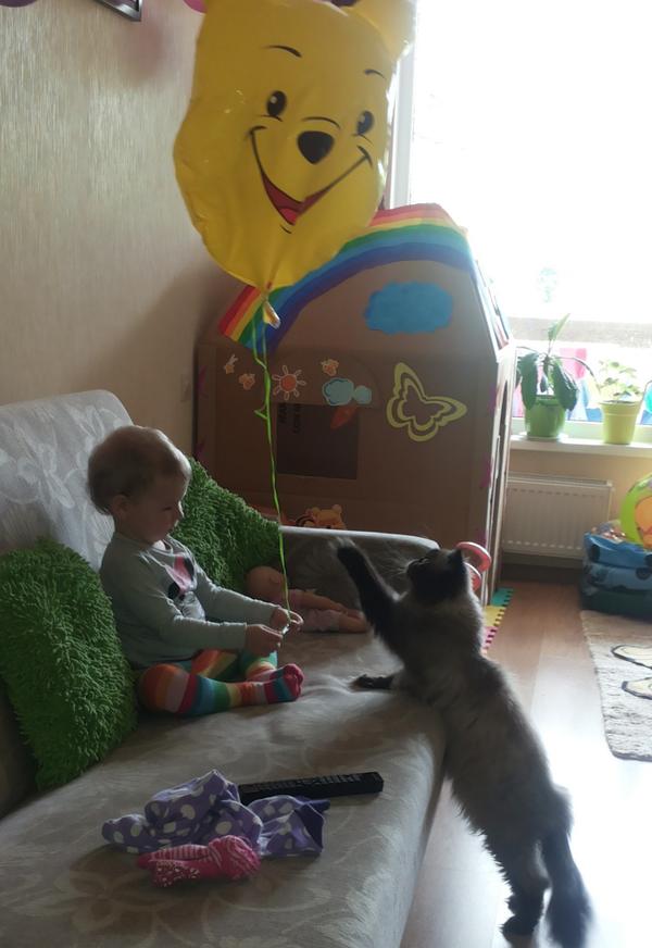 sumis34's tweet image. Krustmeitiņai arī mīl dzīvniekus! #laiBIGBANKziedo