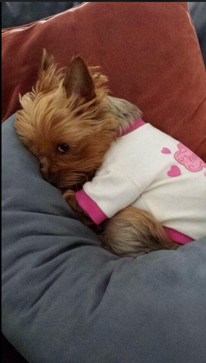 ShitBitchesL's tweet photo. when he is mad at you, but u just wanna love him http://t.co/yZiIntgmWA