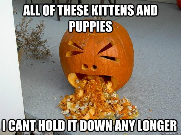 TallFPumpkins's tweet photo. The internet is full of stupid things... http://t.co/9852YhKt8i