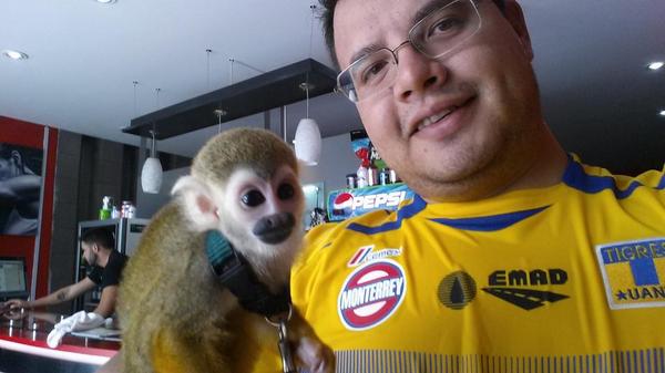 LA_RORRA's tweet photo. "@ROCCO_G: Con la mascota del gym.... #wallie #NitroTrainingCenter http://t.co/7pQmttfLZr" >> q feo!!! El d amarillo π