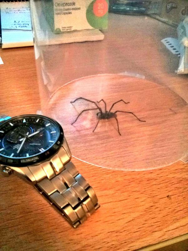 speedyb's tweet image. No. This is my room, not yours. #OutYouGo