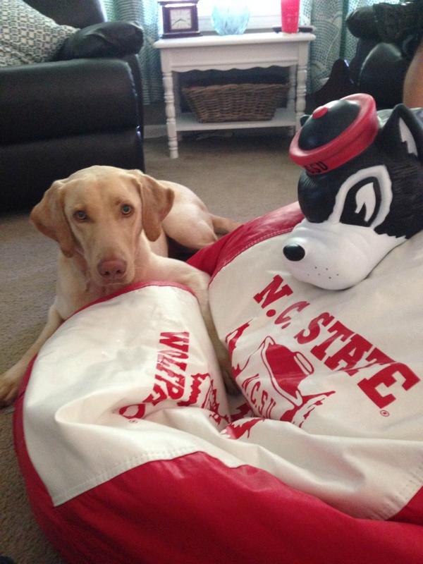 Tosh always pulls for the Pack! #PackPics