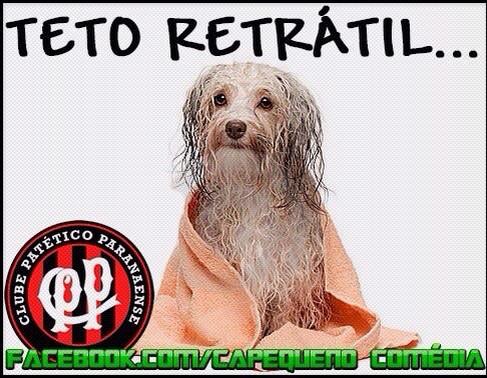 NoticiasDoCoxa's tweet photo. Apenas! Boa noite nação alviverde. http://t.co/Lg8PFJ6sEu