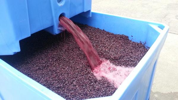 Longboard Vineyards tweet media