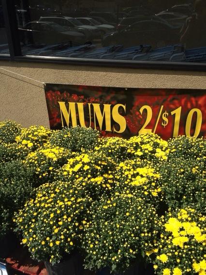 FarOut_Mann's tweet photo. I bought your mum at the store today for less than 10 bucks #winning http://t.co/a5YLZoCZh9