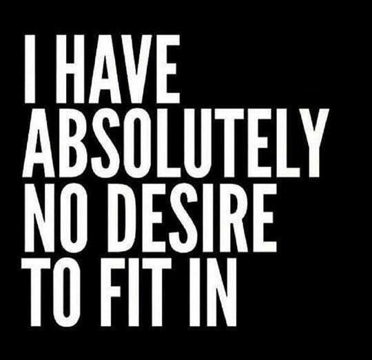 MissMDBruce tweet media