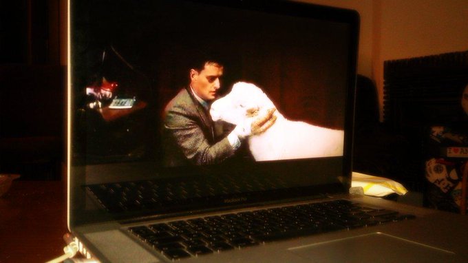 Viendo #ovejasasesinas!  Pero parece ser que a @ThousFilms  no le gusta mucho!  Xd Que monoso durmiendo<a href="/tag/ovejasasesinas"class="tags">#ovejasasesinas</a>