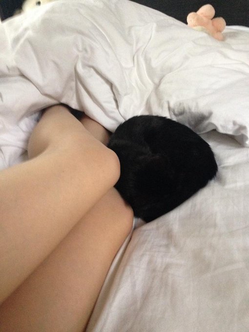 In other news, look how cute my cat is: http://t.co/nhlAfSDIlZ