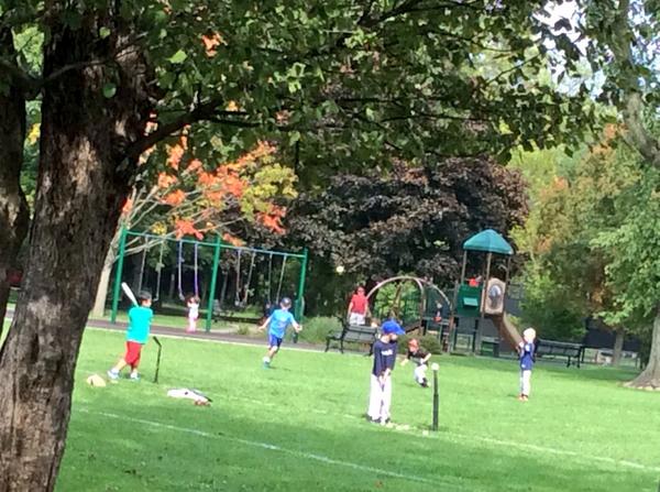 steadaroo's tweet image. A beautiful day for autumn baseball...he hit it!