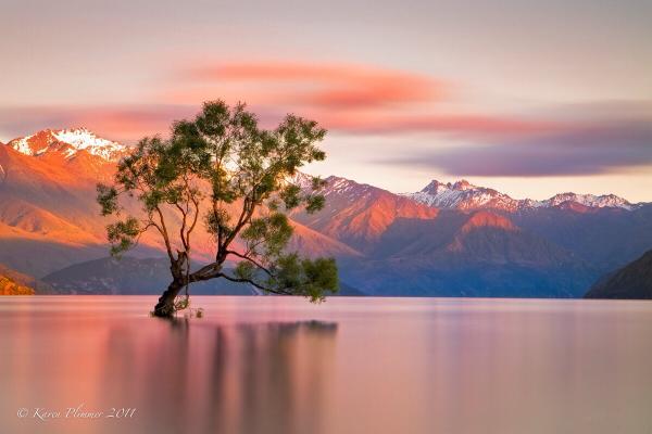 mjesusgz's tweet photo. Photography by Karen #Plimmer - Inmerse yourself - #photo #art #artwit #twitart #iloveart #fineart #followart ______ http://t.co/C97zvZAgbJ
