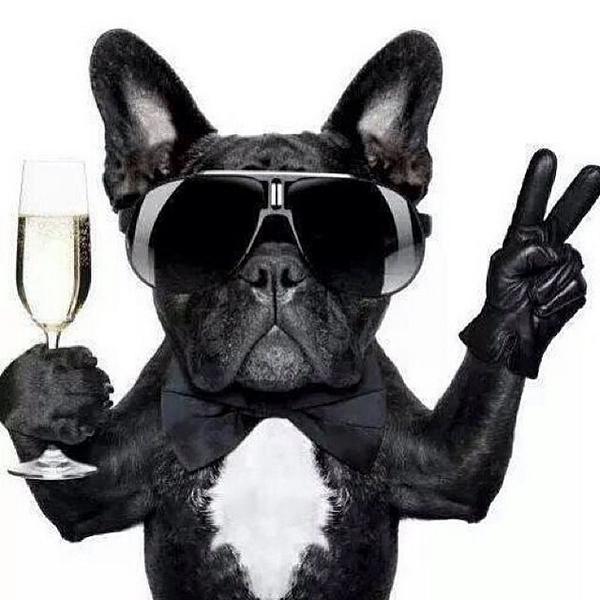 doggybnb's tweet photo. Cheers to the freakin' weekend...yeah yeah..everybody put your glasses up and I drink to that" #amen @polospreadslove http://t.co/wNGEvVA9CM