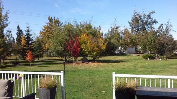 Fall colors are sneaking in!