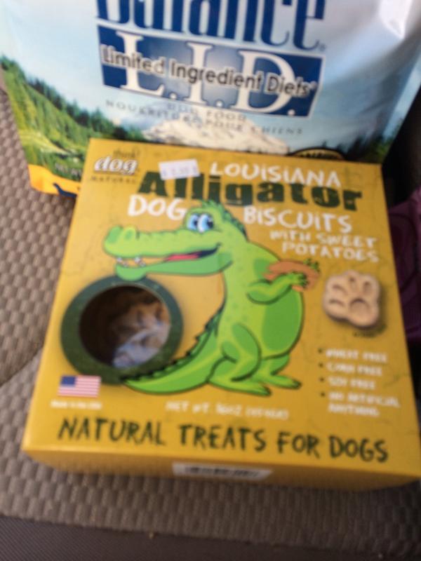 WalterThePuggle's tweet photo. Getting excited for some Gator treats http://t.co/OB4MbffzSy