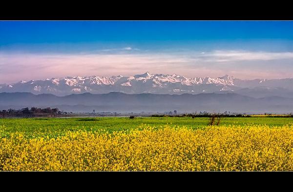 FarhanKVirk's tweet photo. #PakistanIsFamousFor Sialkot, the land of Footballs #PakistanTourismDay #travel #lp #nature http://t.co/YMW5OylCDI