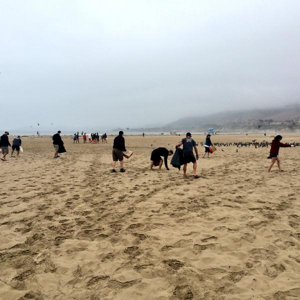 rrmdesigngroup's tweet photo. RRM participated in the #CoastalCleanupDay at #pismobeach collecting over 100lbs of trash! http://t.co/E2zwu8kjZx
