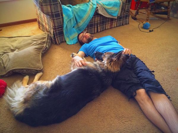 gensevpro's tweet photo. It's one of those lazy Saturday's. #sadie #dogs #naptime http://t.co/rjRWp1qkZL