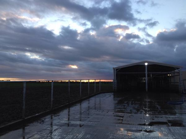 Alissakenn's tweet photo. The end of another spring Saturday East gippsland. #discoveragriculture #nakedonyourplate #wooliesagscholarship2014 http://t.co/c5rt279xFm