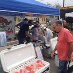 Photo by Wild Local Seafood (@WildLocalSea)