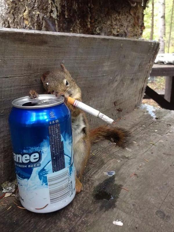 beardnation5's tweet photo. He must be from Alberta! http://t.co/HPgWNYZ72h
