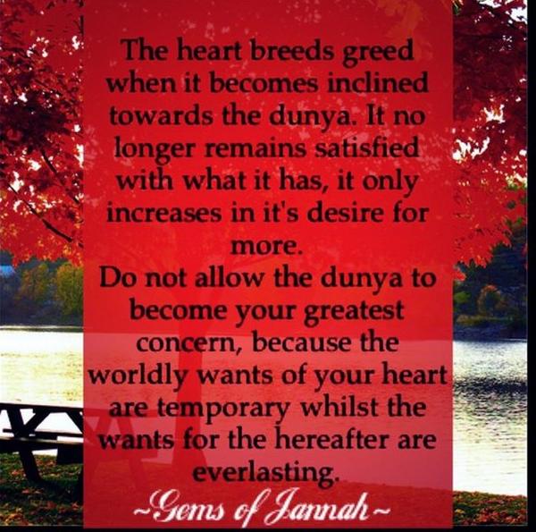 GemsOfJannahh's tweet photo. Do not allow the dunya to become your greatest concern http://t.co/pEBFdKQBOA
