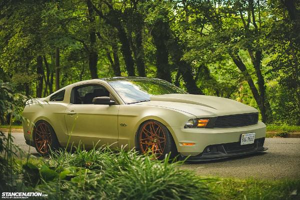 StanceNations's tweet photo. Mustang #StanceNation http://t.co/epUf6RwQaK
