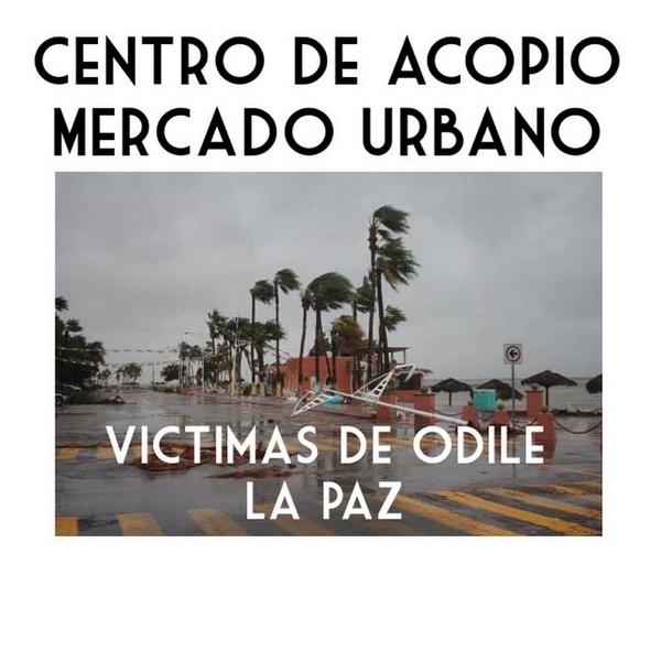 MercadoUrbanoMx's tweet photo. Maรฑana el stand de #InfoMU lo usaremos como centro de acopio para los afectados por #Odile @AutocinemaC RT http://t.co/fCXK4PPK7N
