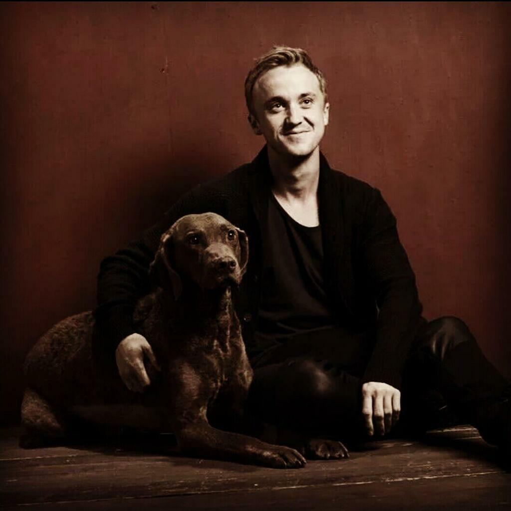 Happy Birthday Tom Felton! :) 