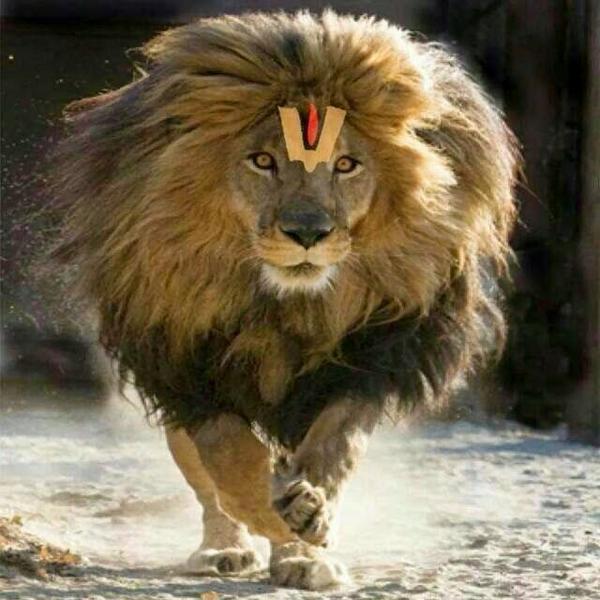 SWAMINAIDUR's tweet photo. Hai sir ! http://t.co/54kOiccSC5