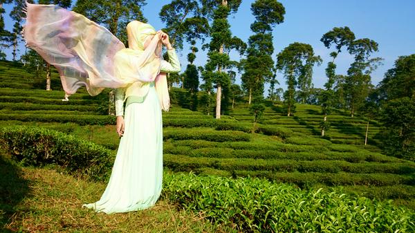 Not only underwater photography, the greenery view will look much better with @SonyXperiaID Xperia Z2 :)