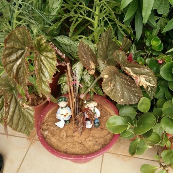 claudia0322's tweet photo. Mama's work!!!! http://t.co/tK8lWJvrzc