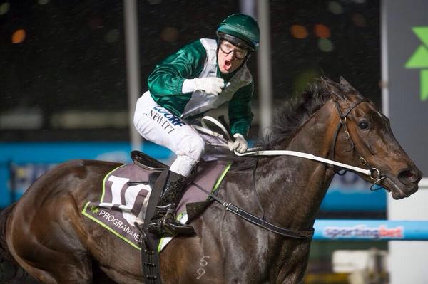 davecama's tweet photo. Enjoy retirement @samaready! Her career highlight was winning the G1 Moir at @MVRC1 by 4L. (Pic @FastTrackPhotog) http://t.co/DzFRMgT11h