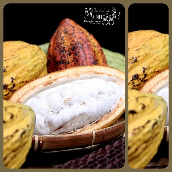 The origin of Indulgence..Cacao pod
#chocolatemonggo #chocolate #cacao 
#cacaopod #monggogreen