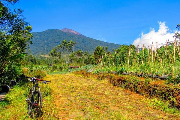 eight bolt tweet media