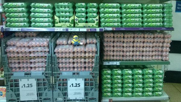 Our duty this am reckons today is as good as any to have a breakfast with eggs &amp; a certain cut of meat. #MinionAgrees