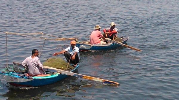 A peaceful Sunday morning at Kings Island. Locals enjoying some Nile fishing :-) #luxor #egypt