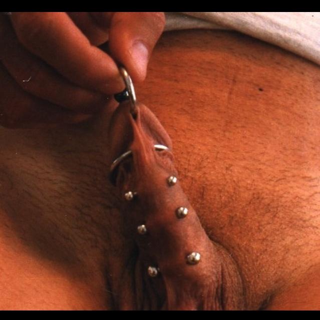 Penis ladder piercing - 🧡 CBT Doods.