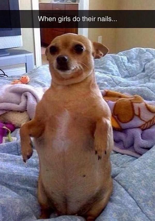 Cause We're Fellas tweet media