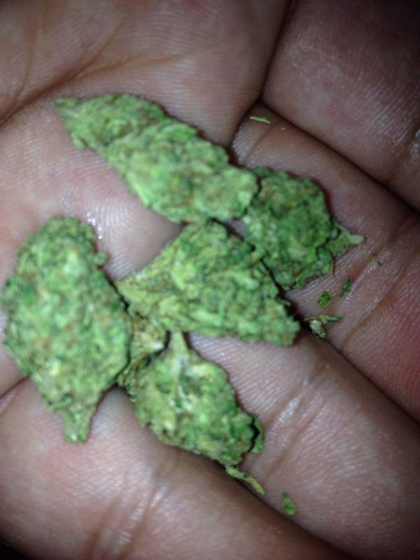 AntDoggie's tweet photo. I'm smoke this #ogsour & my ๐ธ๐ต like I been doing Gn world at least I can go to sleep with no regret โผ๏ธ can u?? http://t.co/sj8Vkj4ef7