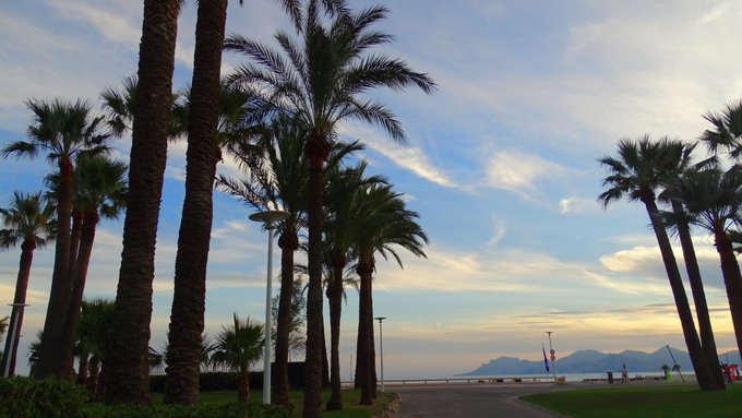 #Cannes 🌴 🌴 🌴 http://t.co/RoVn7QApVb<a href="/tag/cannes"class="tags">#Cannes</a>