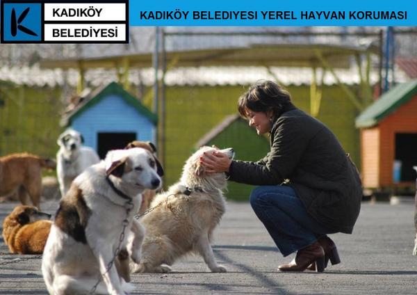 Hayvanları Daha Güçlü Korumak İçin Yerel Hayvan Koruma Görevlisi'' Olunuz!
kbyerelhayvamkoruma.blogspot.com.tr/2014/09/hayvan…