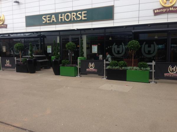 Branchingouttwo's tweet photo. The seahorse @Europlanters #greeneking #hungryhorse #landscaping http://t.co/a0J9FgfN1S