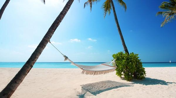 lucy_meck's tweet photo. I would like to be here NOW! 👙☀️🍹 http://t.co/COXJSddzIk