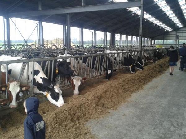 BiesmansSHD's tweet photo. 'Kennismaking met de handelswereld' op de 'Dag van de landbouw'. #primair #agrarisch #veehouder in Neeroeteren #shd3i http://t.co/NkymIAGgkB